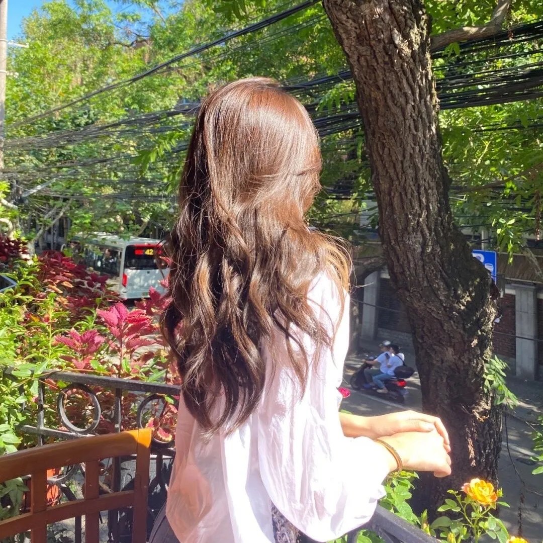 哈莉·奎茵第五季