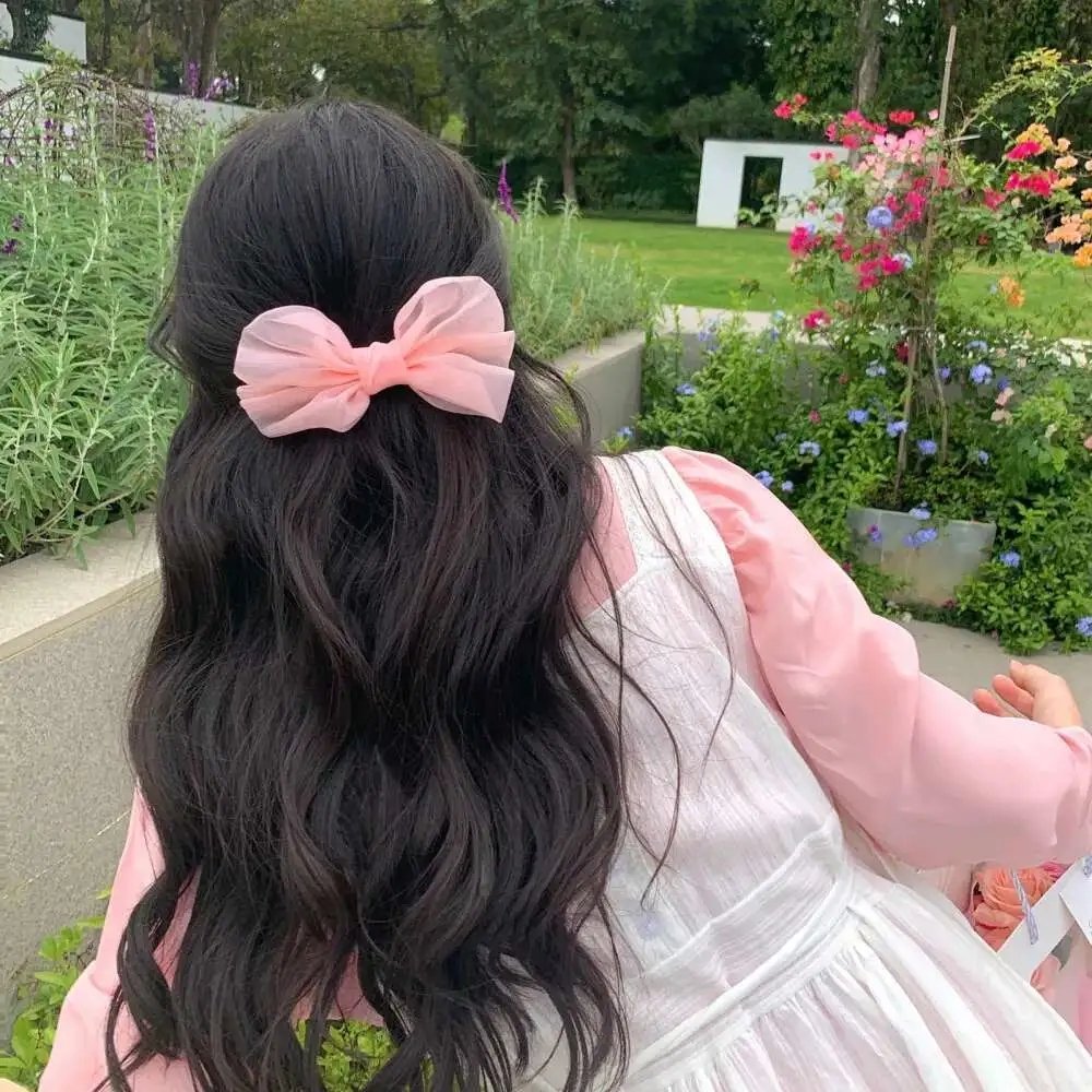 翻译家~长崎翻译异闻~